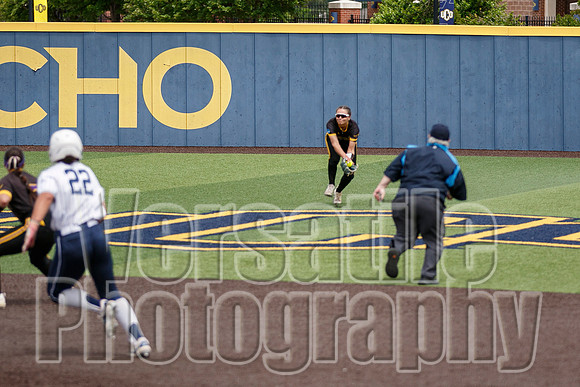 MSU-UCO-014