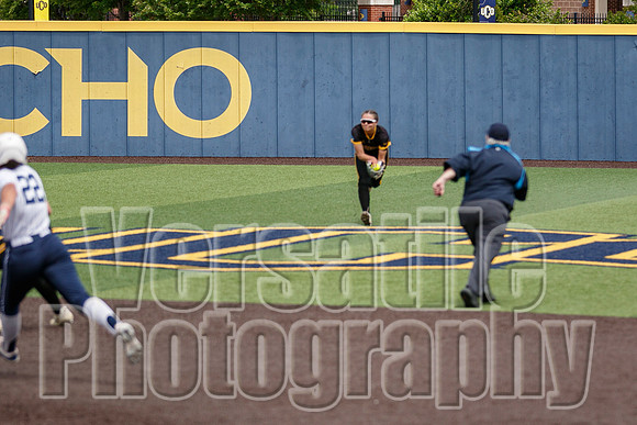 MSU-UCO-015