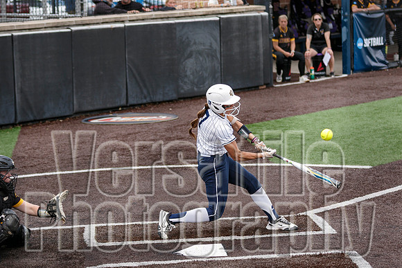 MSU-UCO-020